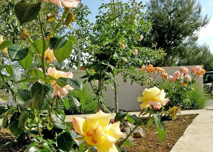 Apartment Maslina-3 By Interhome *